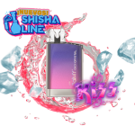 BALMY GO CRYSTAL KISS DESECHABLE